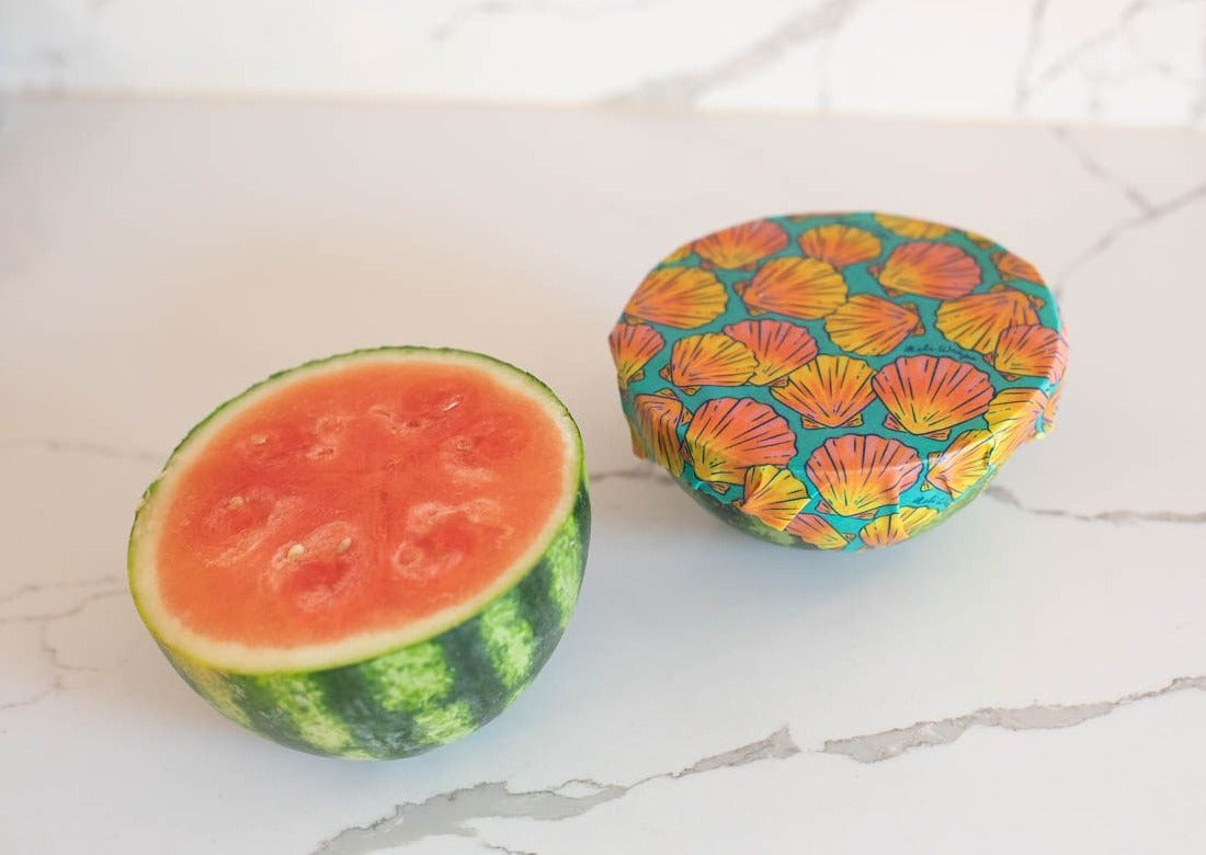 Beeswax Food Wrap | Sunrise Shell Print