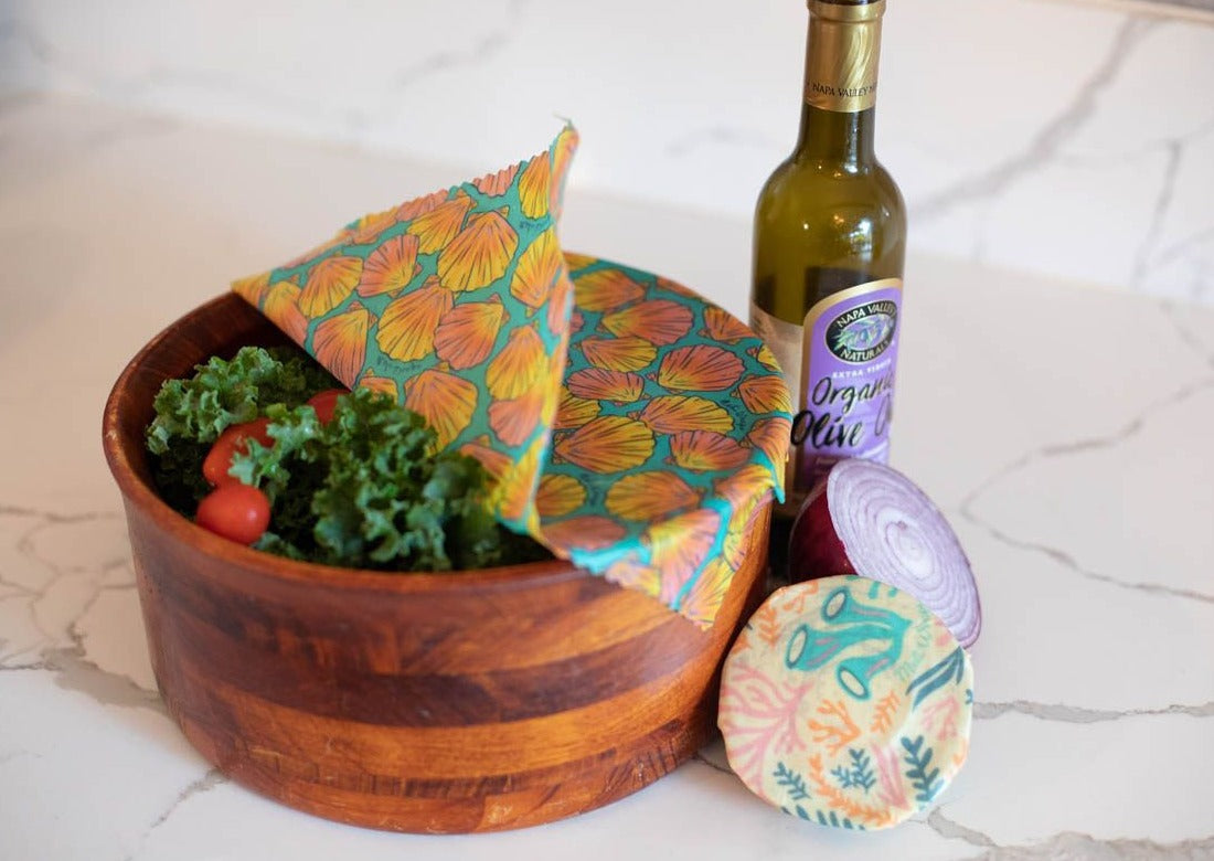 Beeswax Food Wrap | Sunrise Shell Print