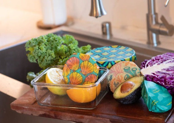 Beeswax Food Wrap | Sunrise Shell Print