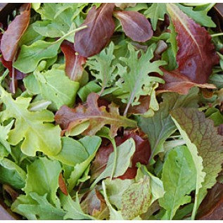 Lettuce - Mild Mesclun Mix