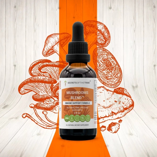 Mushrooms Blend | Immune Support Formula