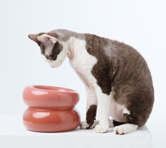 PEHOM | Soufflé Pet Bowl | Rose Pink