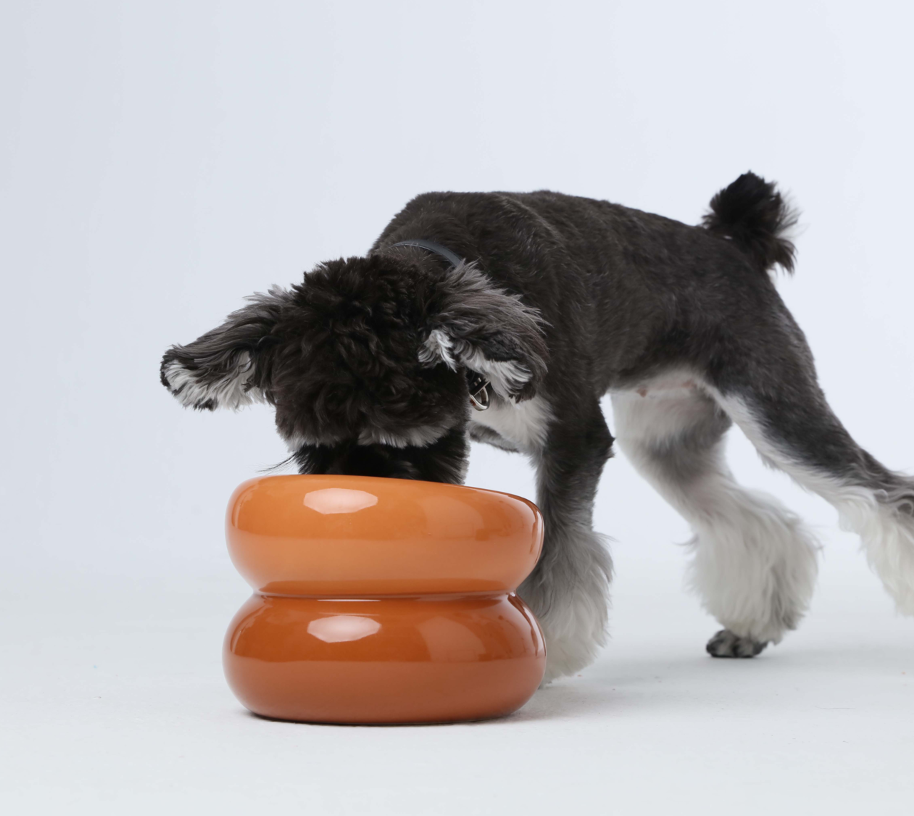 PEHOM | Soufflé Pet Bowl | Amber Orange