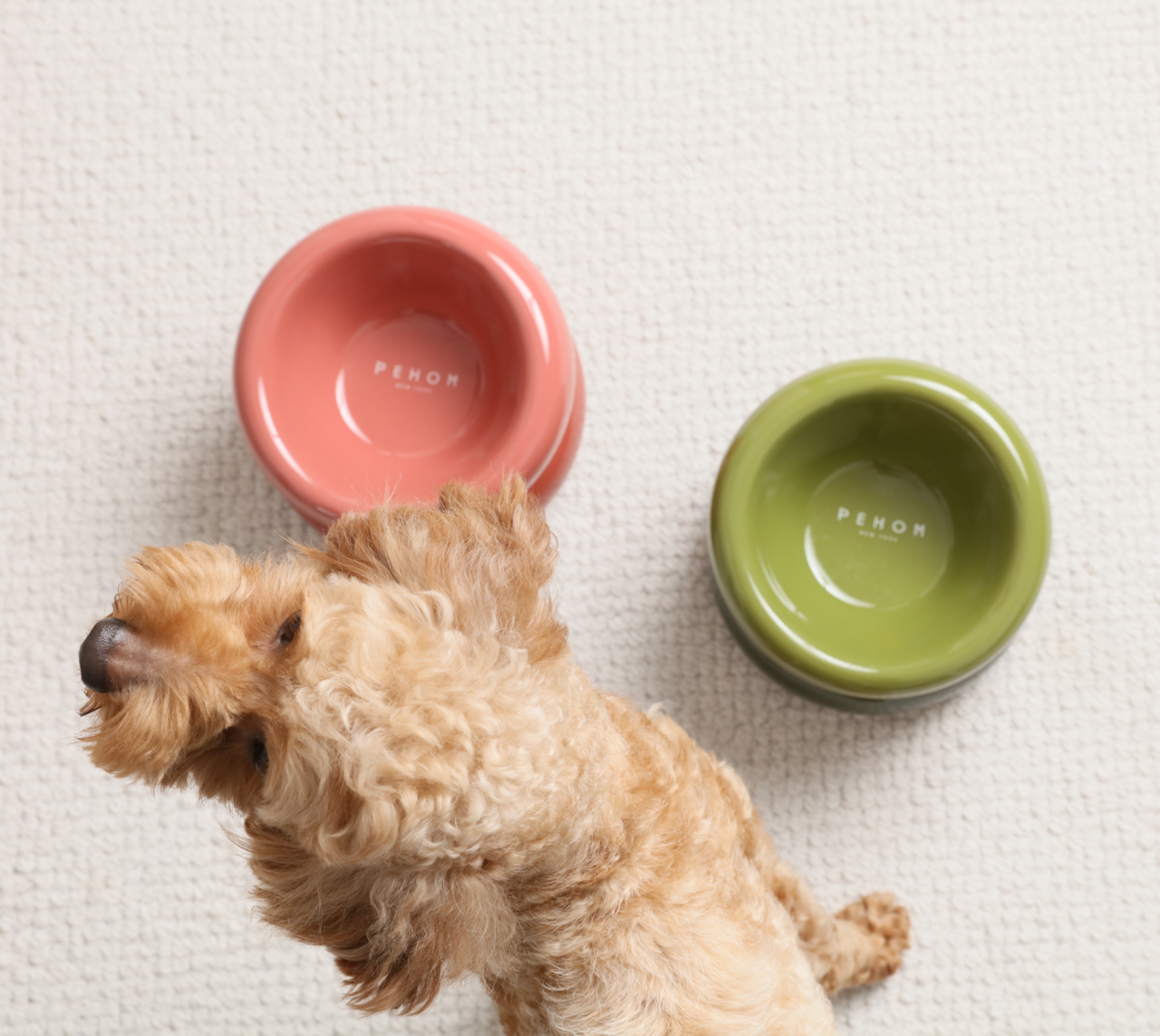 PEHOM | Soufflé Pet Bowl | Avocado Green