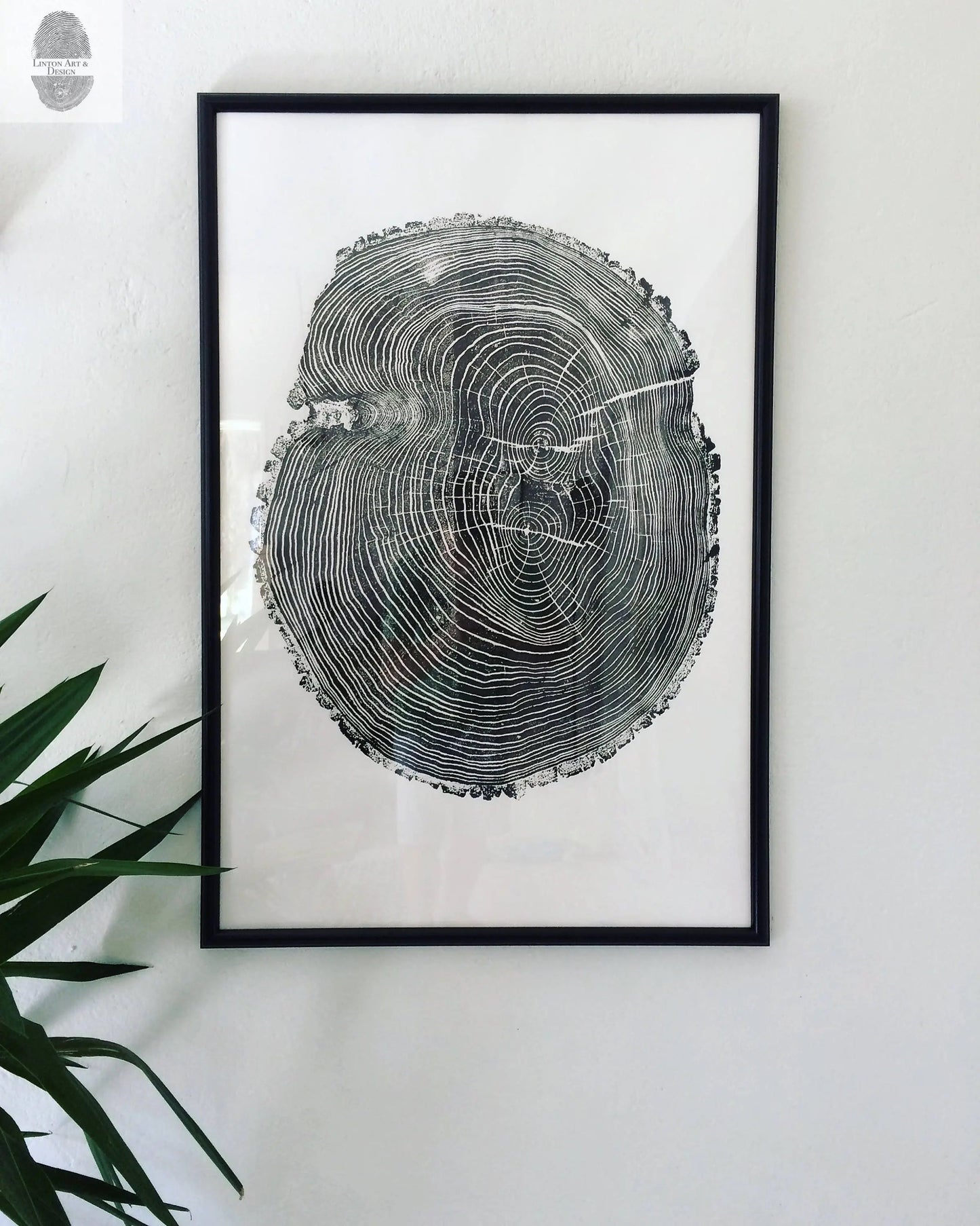 A Narrative of Growth | Ash Tree Ring Print