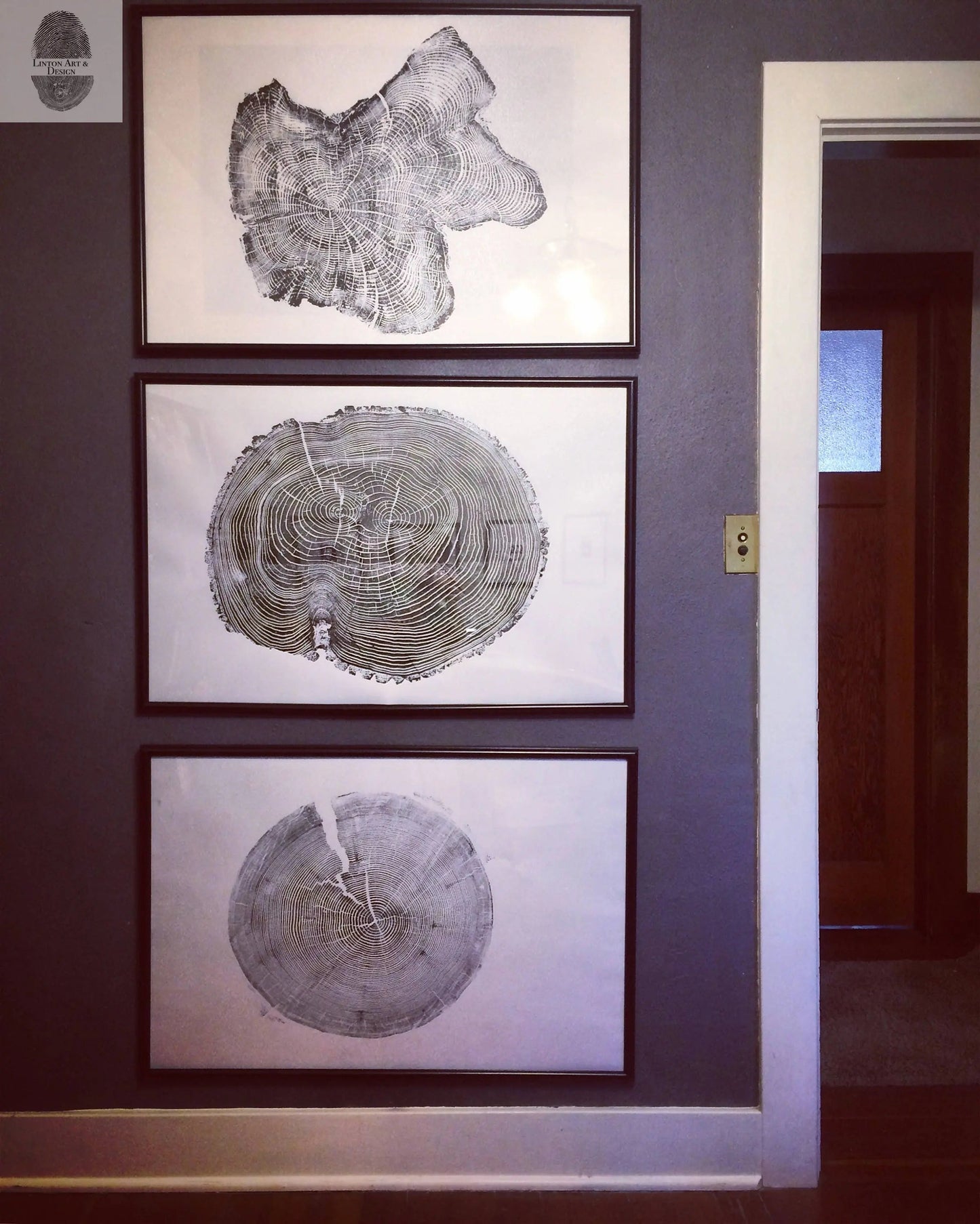 A Narrative of Growth | Ash Tree Ring Print