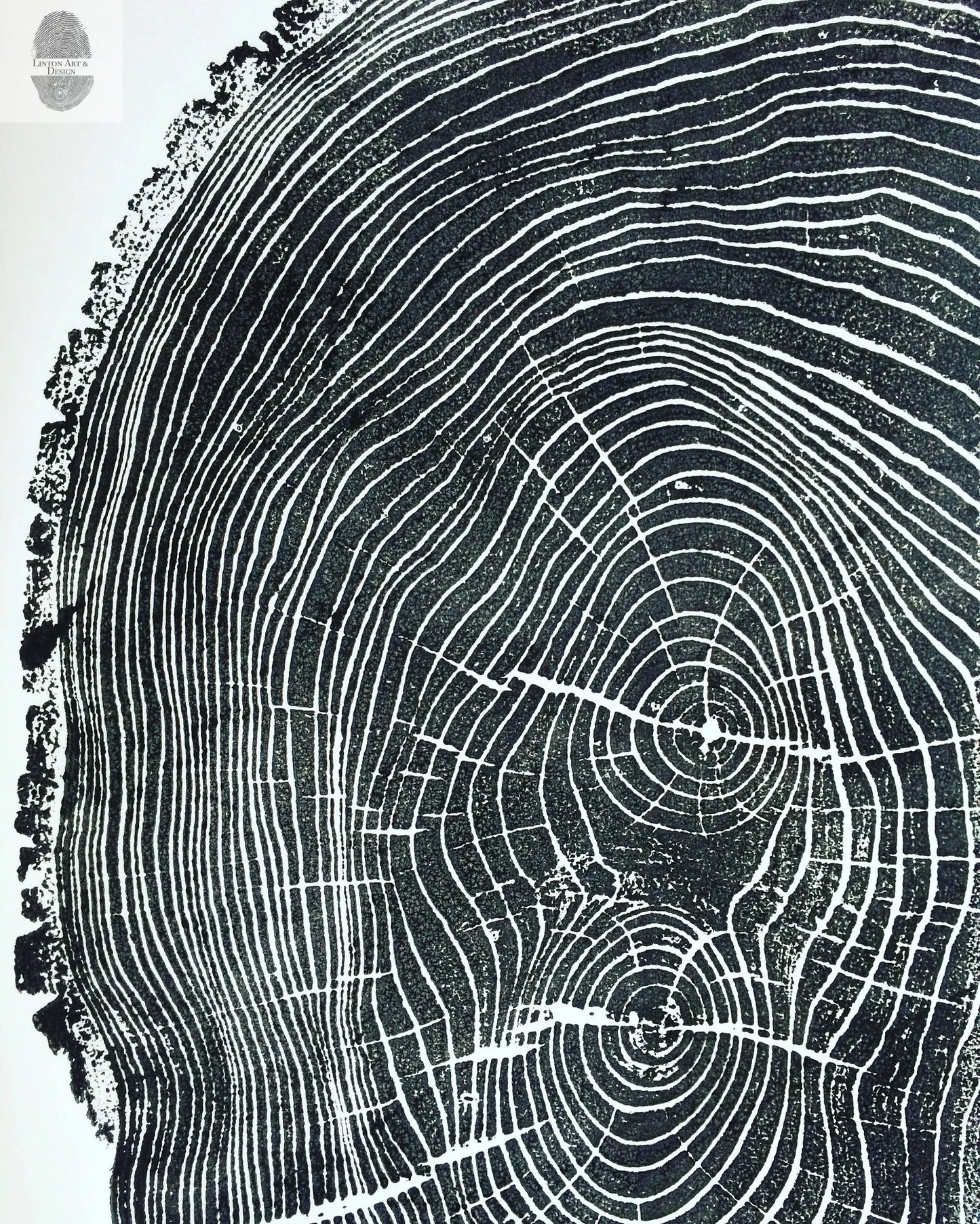 A Narrative of Growth | Ash Tree Ring Print