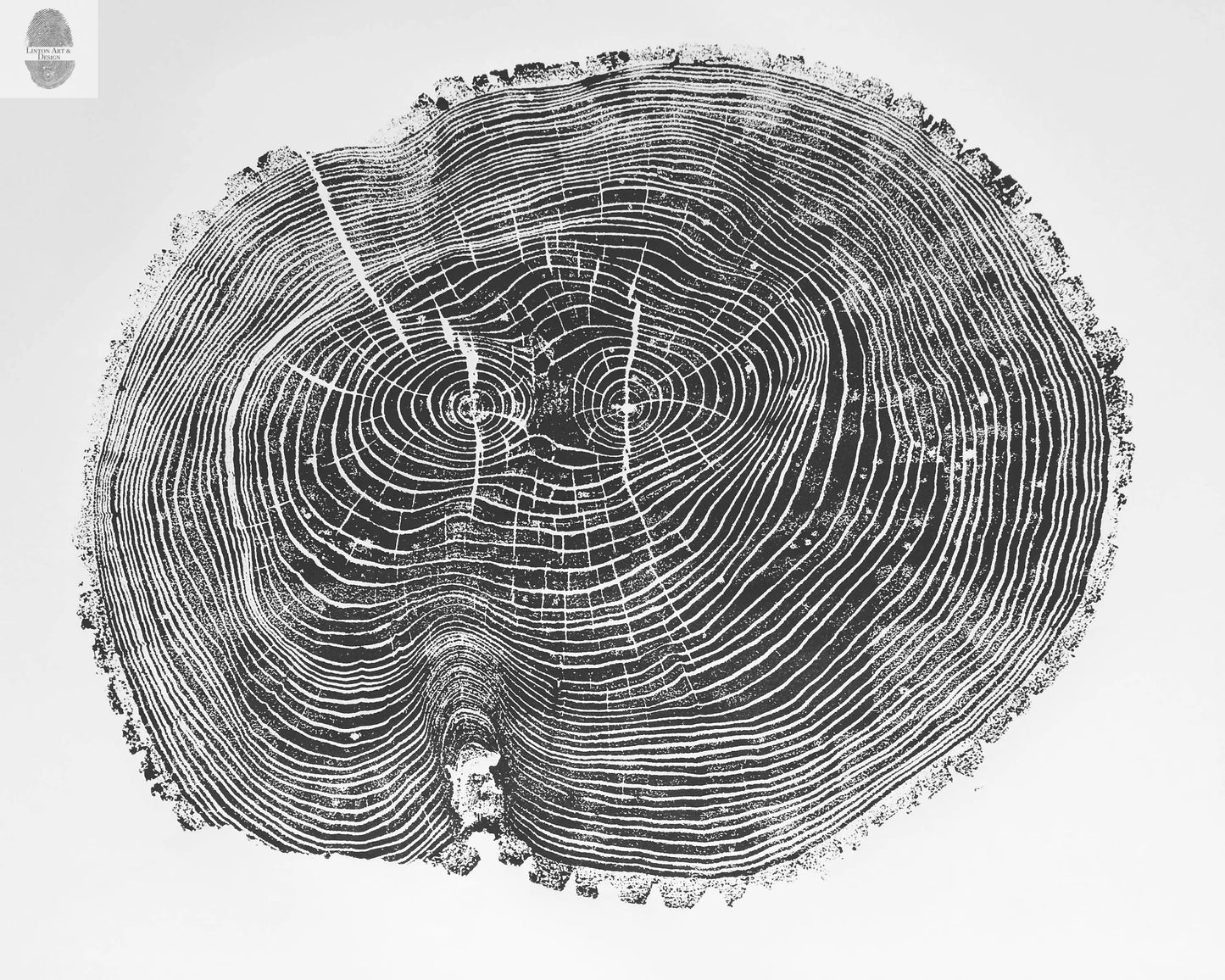 A Narrative of Growth | Ash Tree Ring Print