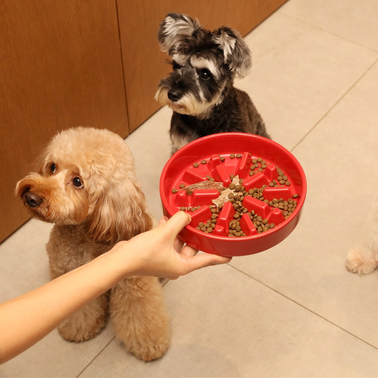 PEHOM | Slow Feeder Dog Bowls