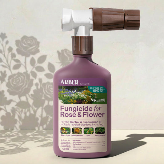 Organic Fungicide for Rose | Flower