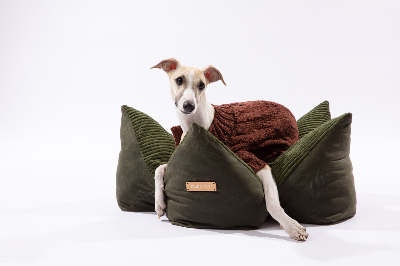 OULU X PEHOM | Cuddle Pet Pillow Bed