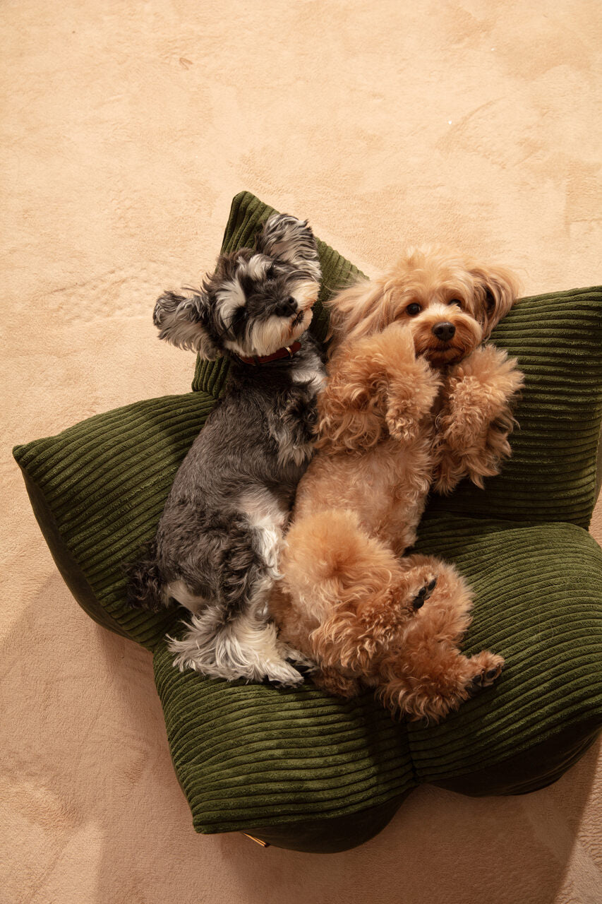 OULU X PEHOM | Cuddle Pet Pillow Bed