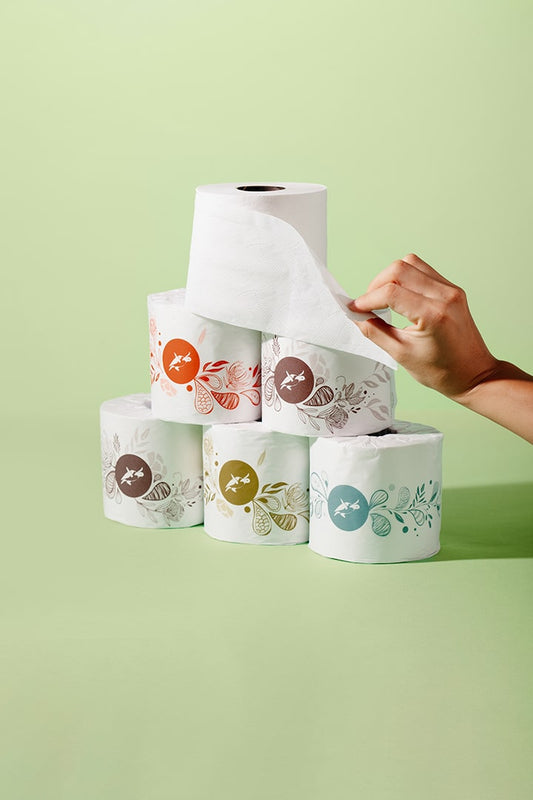 Caretta | 100% Recycled 2-Ply Toilet Paper | 36 Rolls