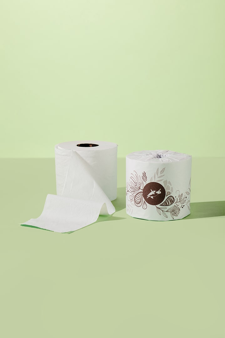 Caretta | 100% Recycled 2-Ply Toilet Paper | 36 Rolls