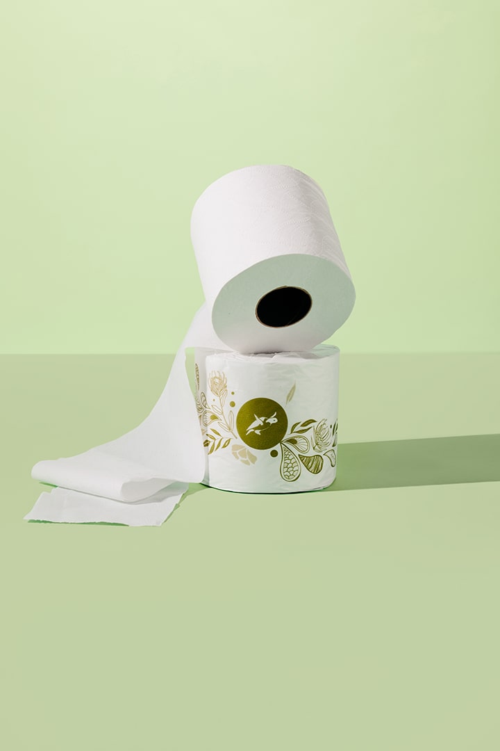 Caretta | 100% Recycled 2-Ply Toilet Paper | 36 Rolls