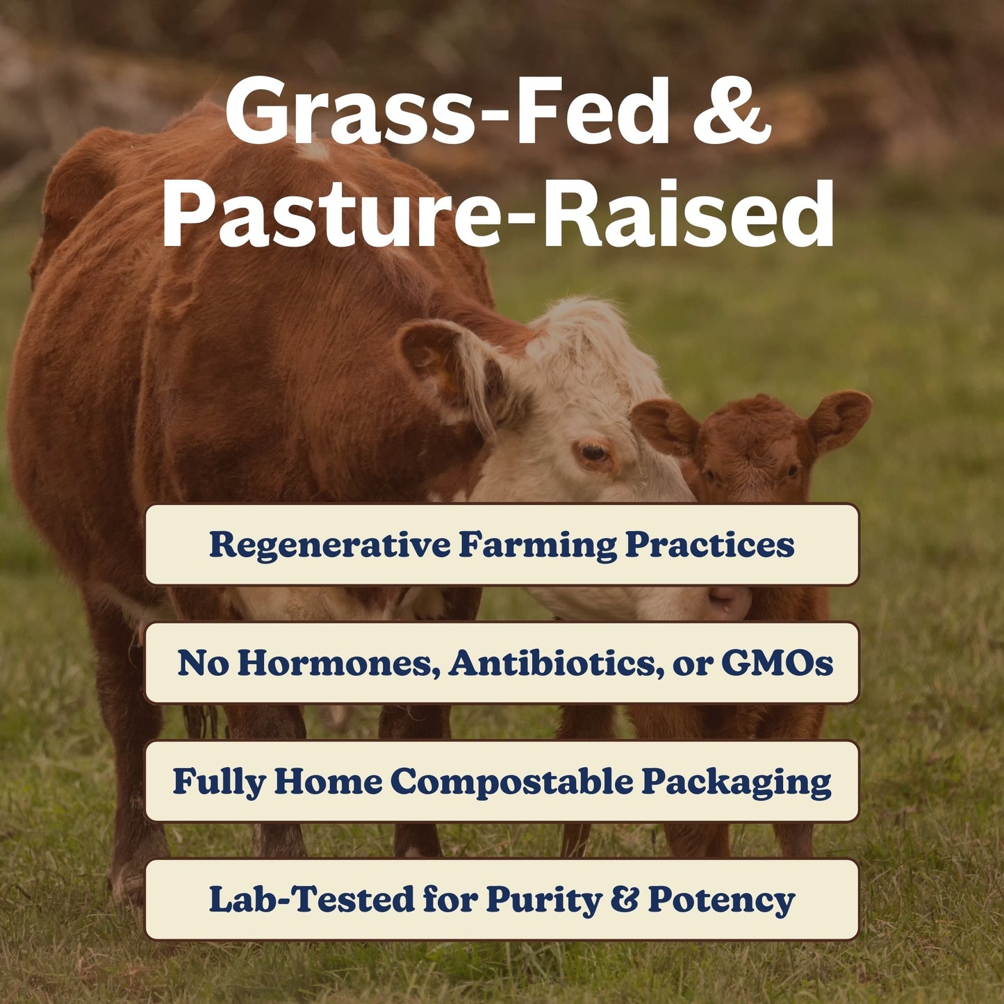 Collagen + Colostrum
