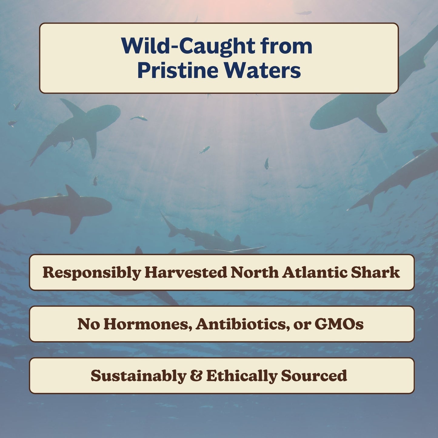 Deep Defense | Shark Liver Oil