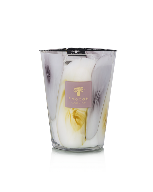 Baobab Collection | EilenRoc Candle