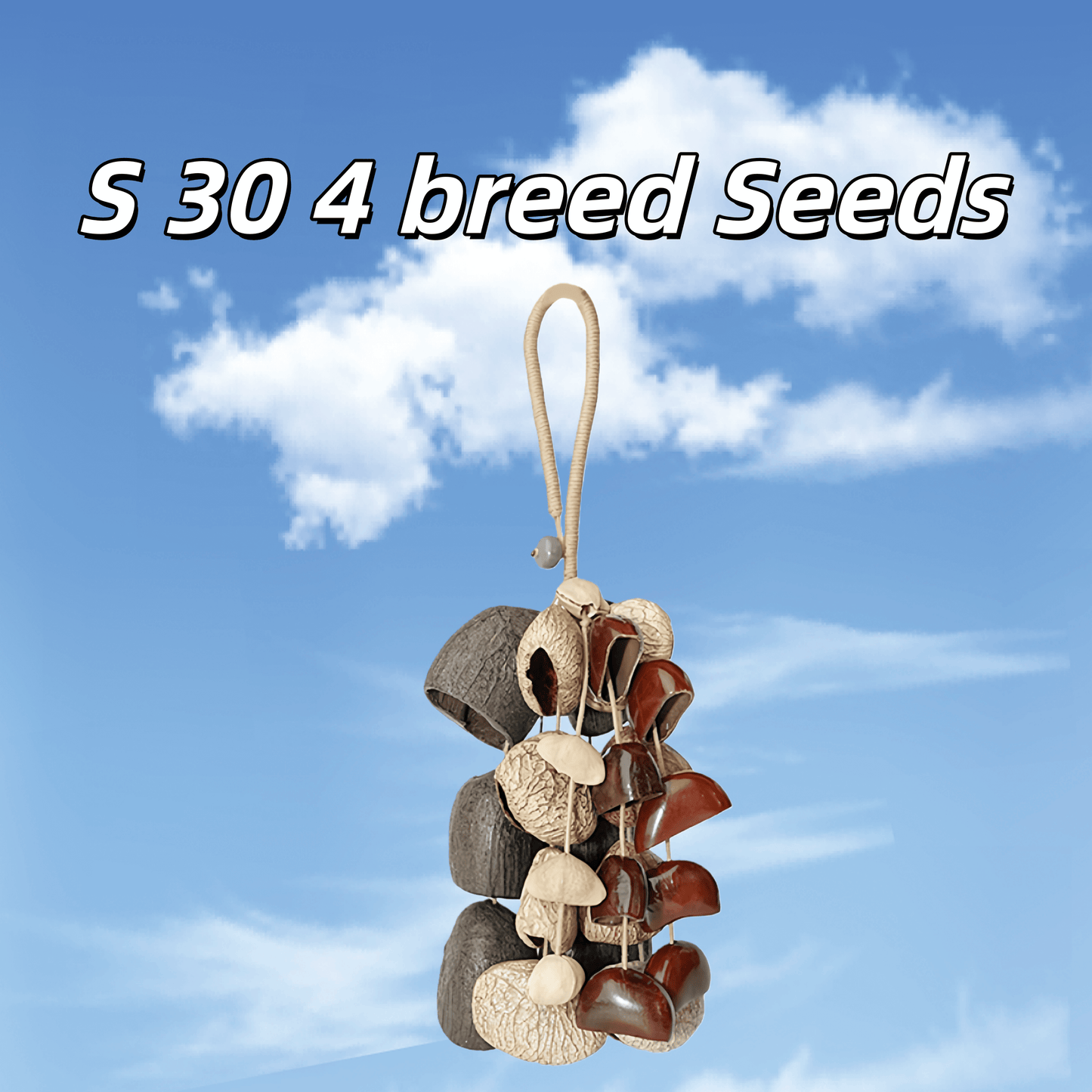 Handmade Entada, Pala Cardamom & Chacha Oleander Seed Shell Hand Bell