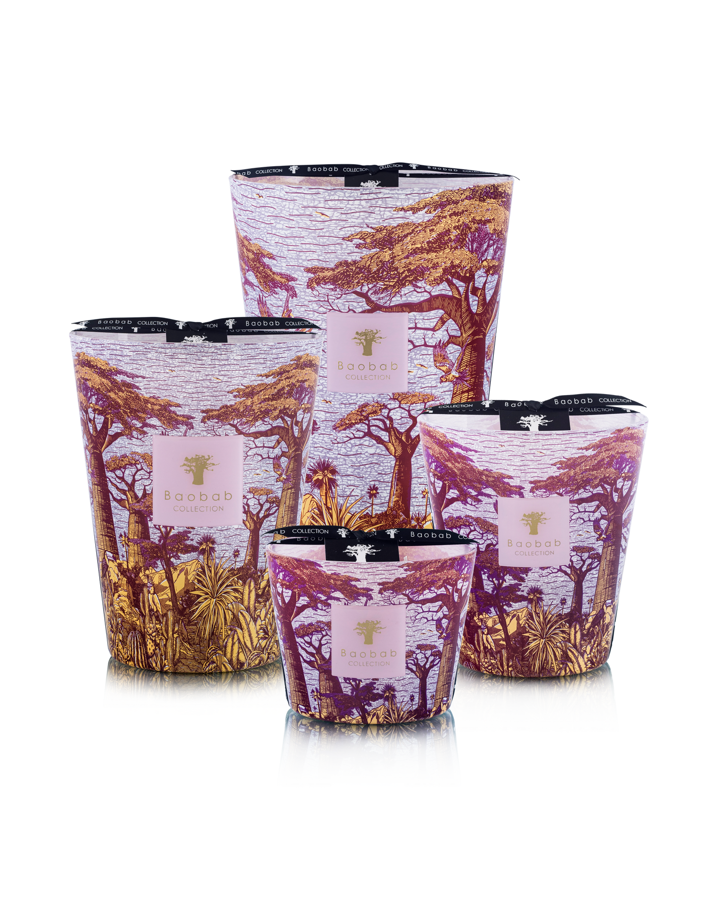 Baobab Collection | Massasso Sacred Trees Max 24 Candle
