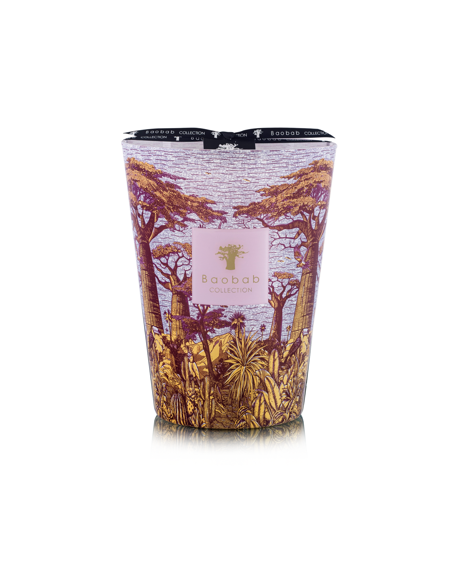 Baobab Collection | Massasso Sacred Trees Max 24 Candle