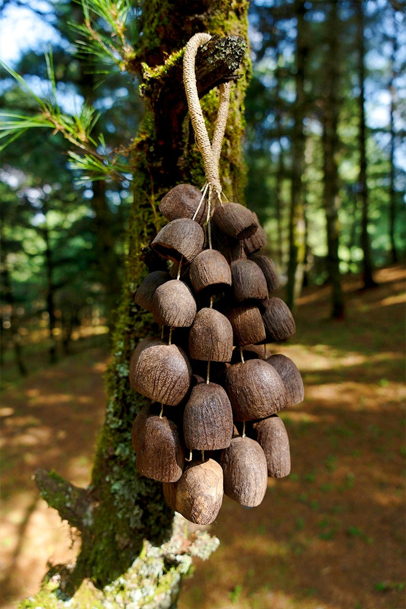 Handmade Salin Water Bellwood Seed Shell Hand Bell