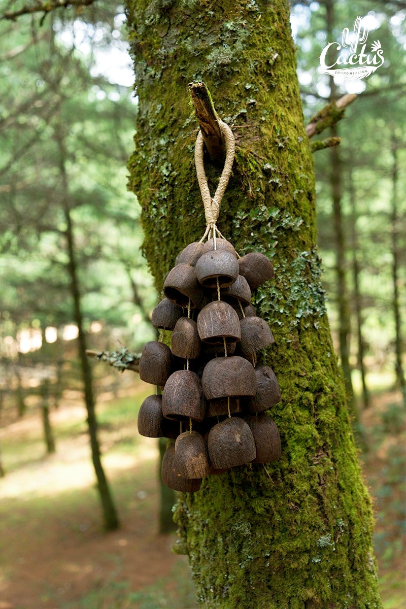 Handmade Salin Water Bellwood Seed Shell Hand Bell