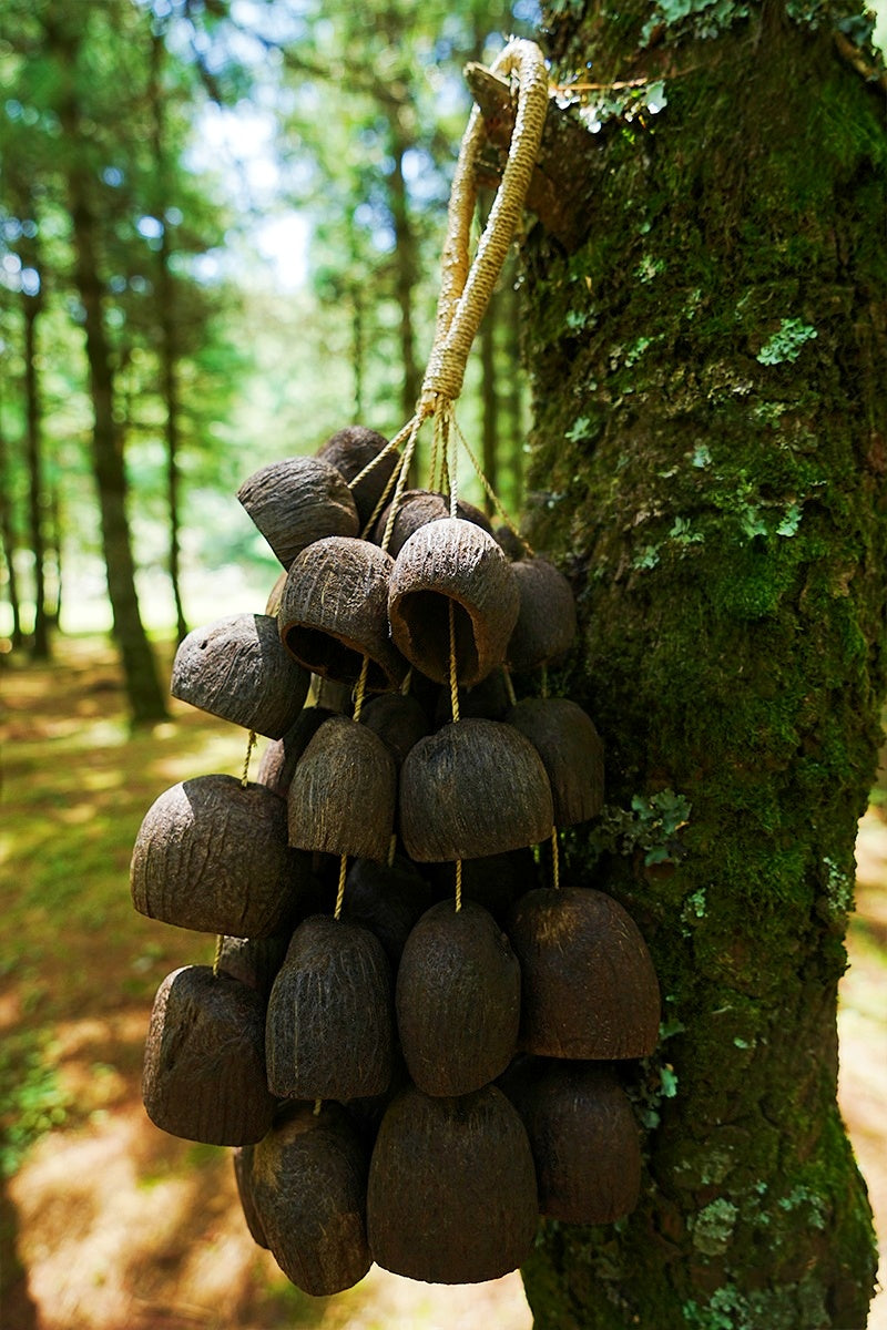 Handmade Salin Water Bellwood Seed Shell Hand Bell