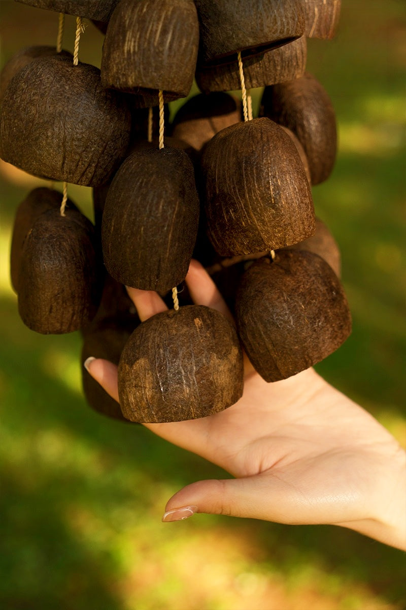 Handmade Salin Water Bellwood Seed Shell Hand Bell