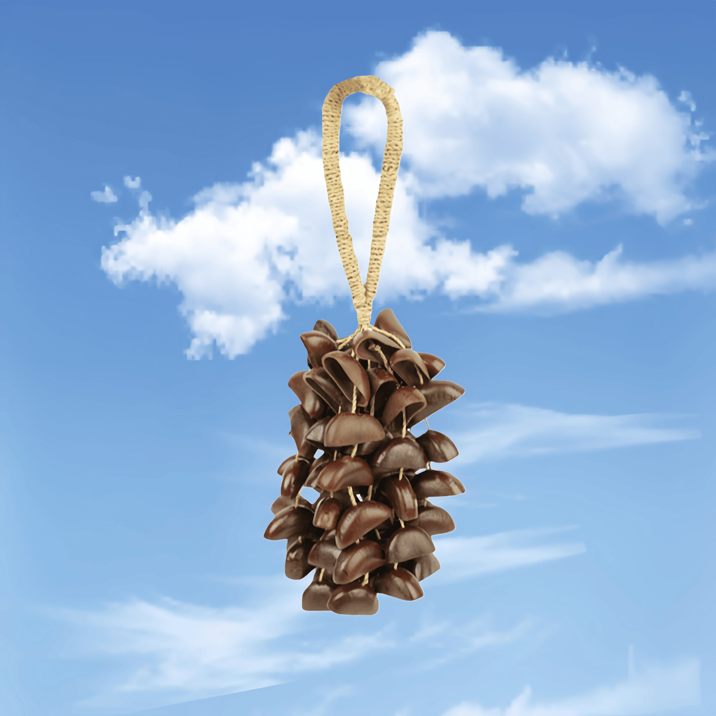 Handmade Juju Duckfoot Vine Seed Shell Hand Bell