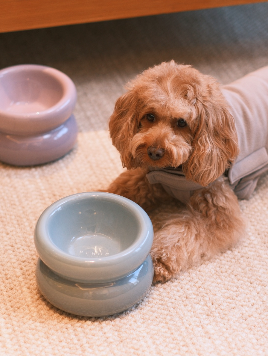 PEHOM | Soufflé Pet Bowl | Frozen Blue