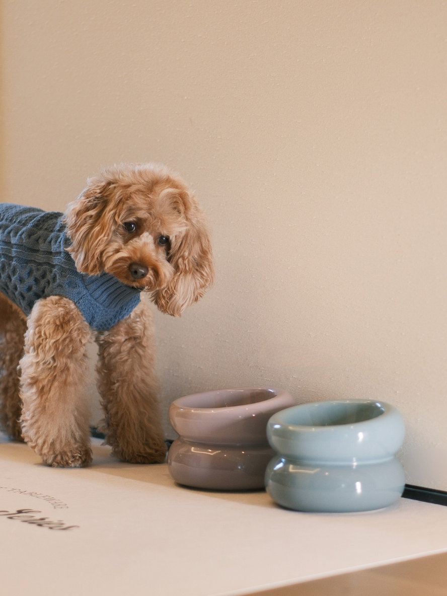 PEHOM | Soufflé Pet Bowl | Frozen Blue
