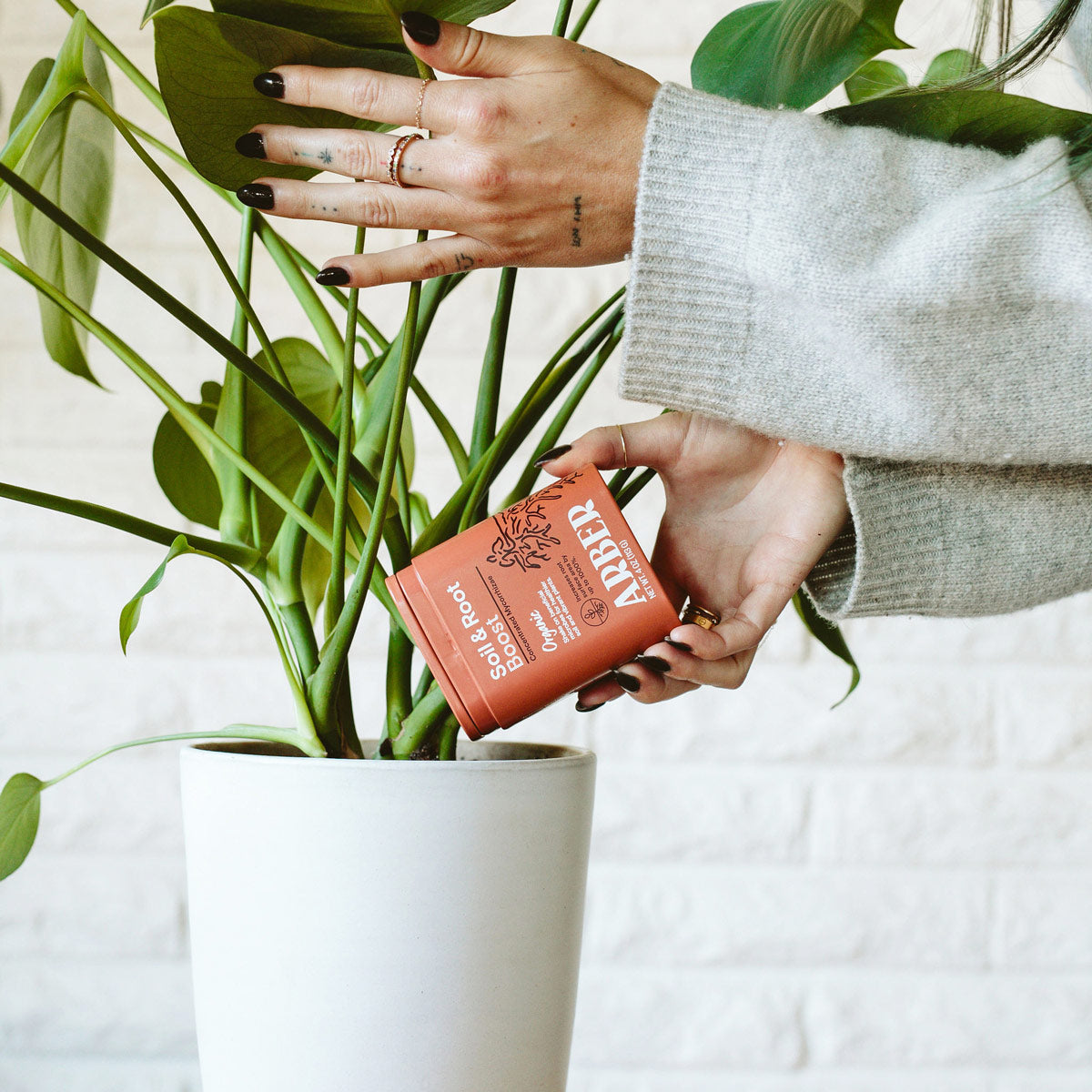 Organic Soil + Root Boost