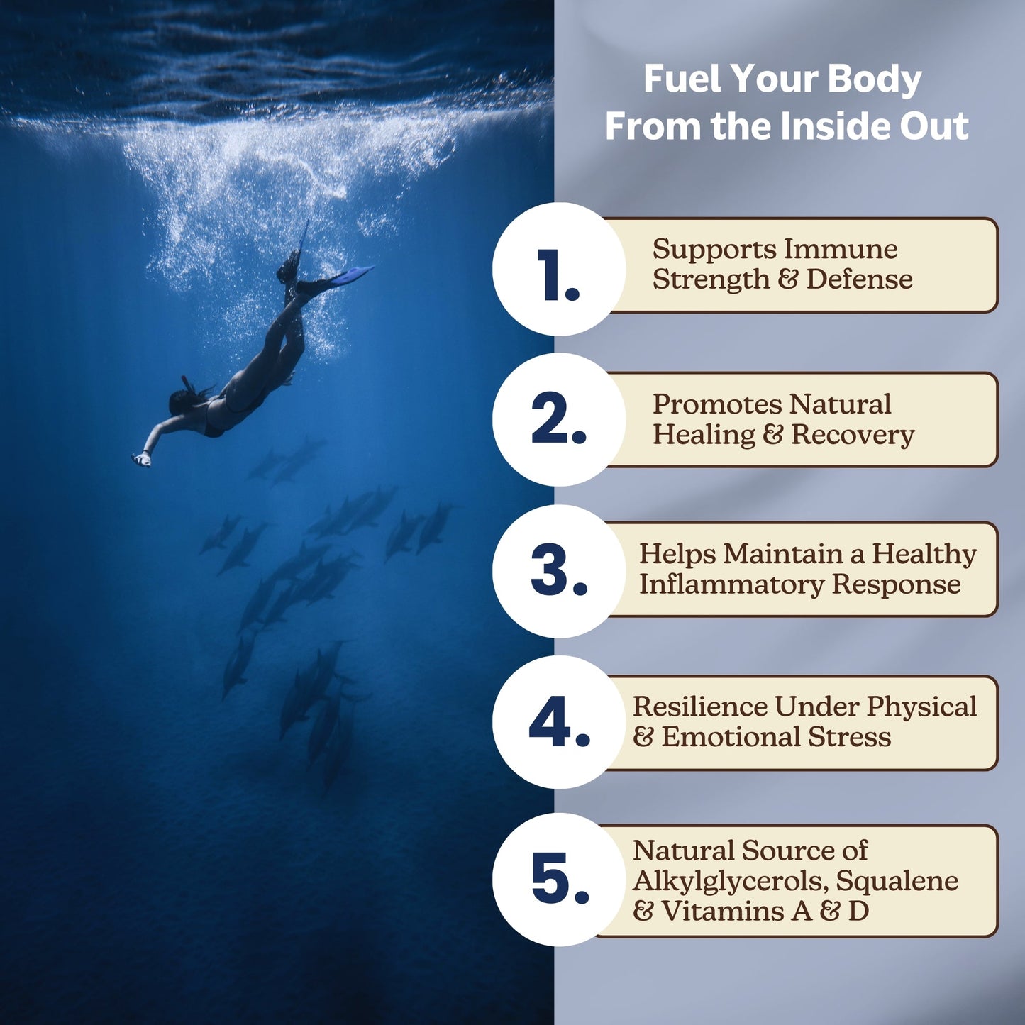 Deep Defense | Shark Liver Oil