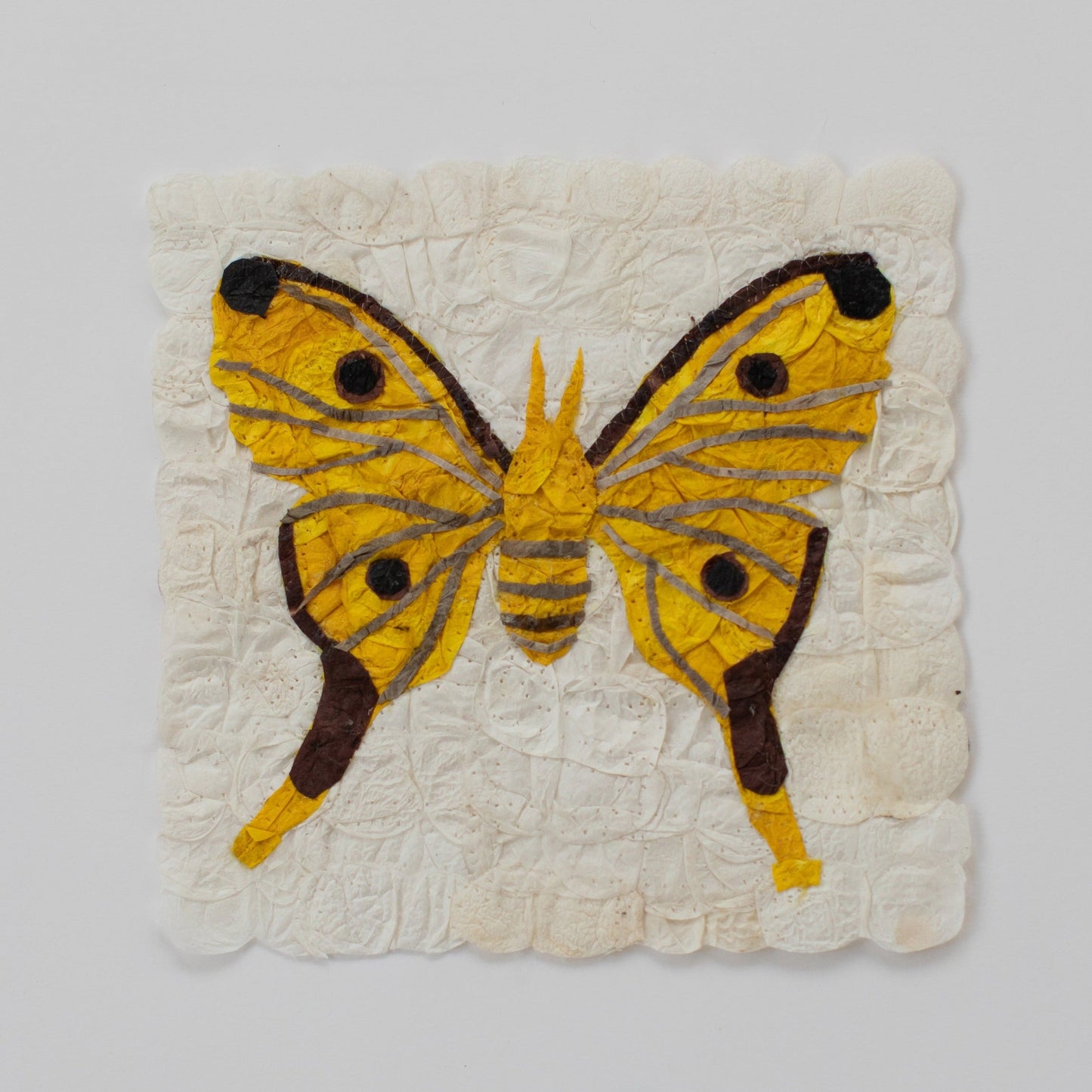 Mini Moth Set