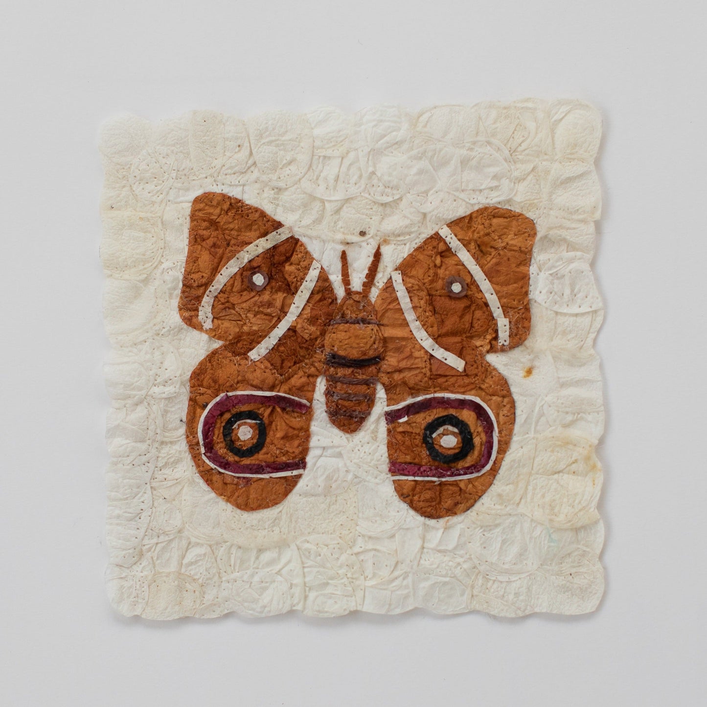 Mini Moth | Antherina Suraka