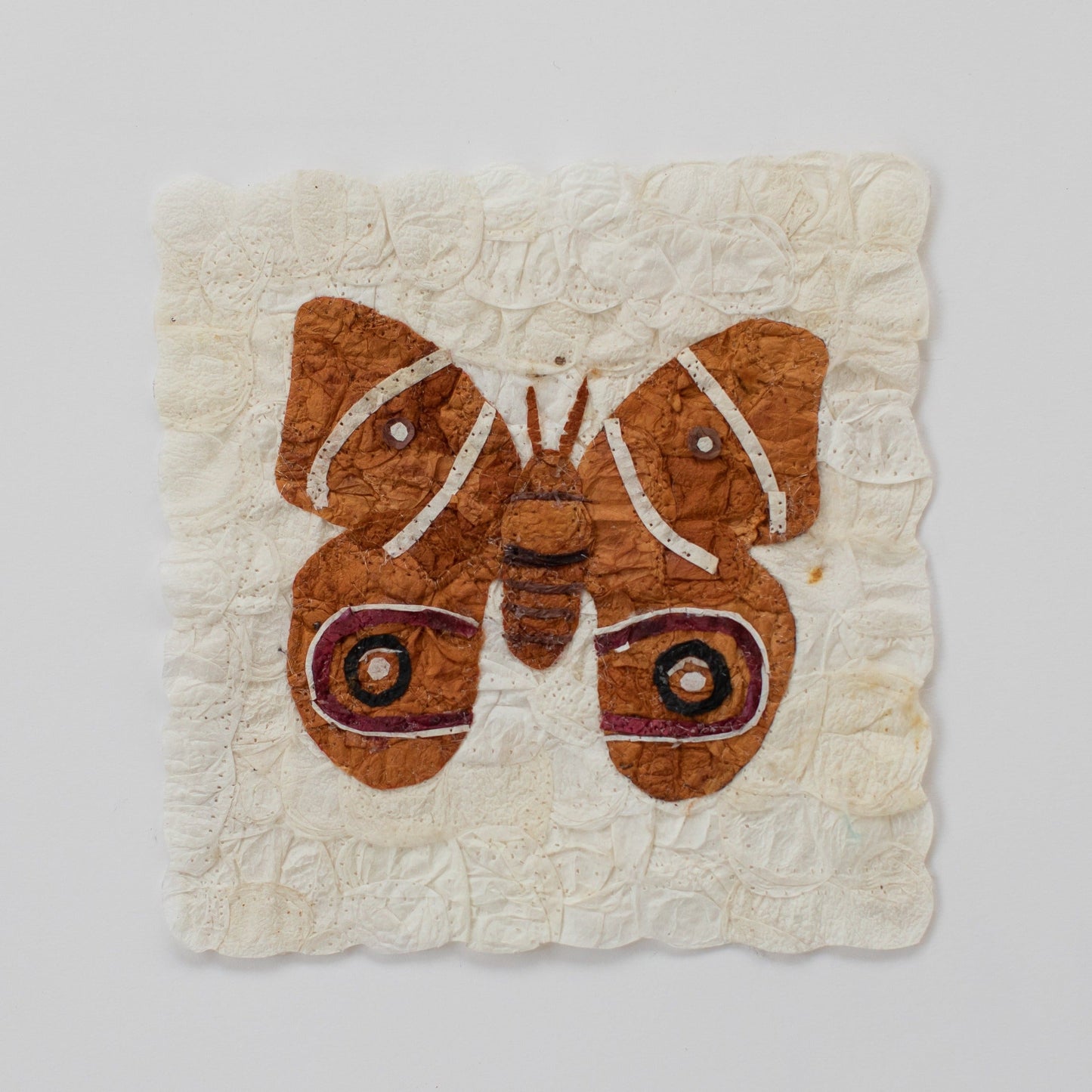 Mini Moth Set