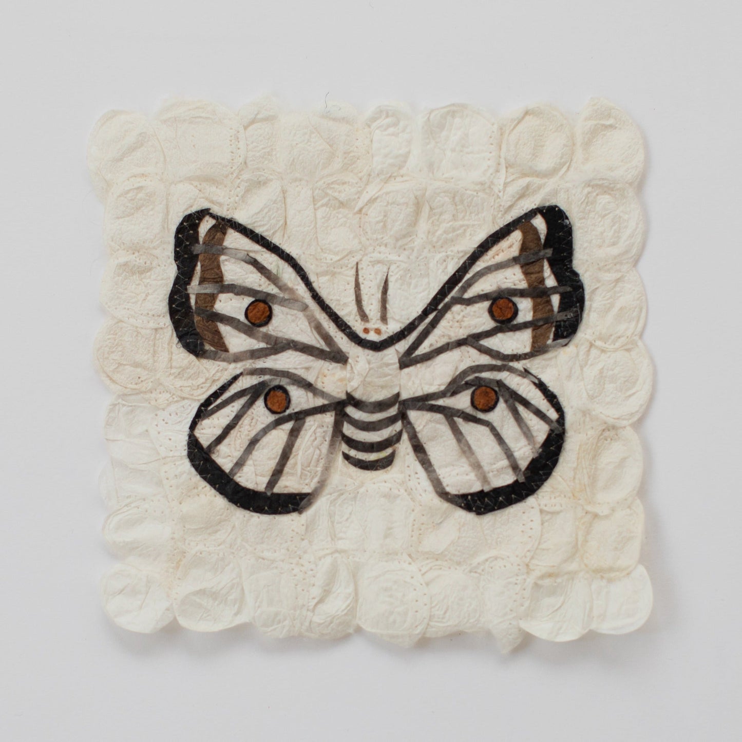 Mini Moth | Ceranchia Apollina