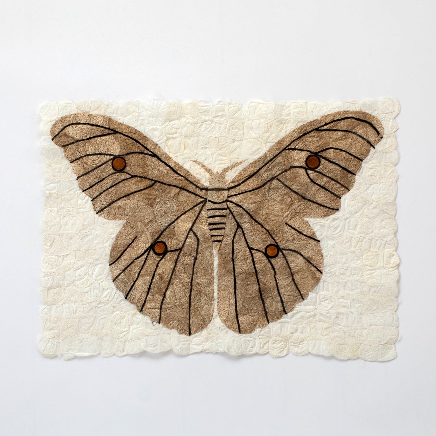 Wild Silk Moth Wall Art - Natural