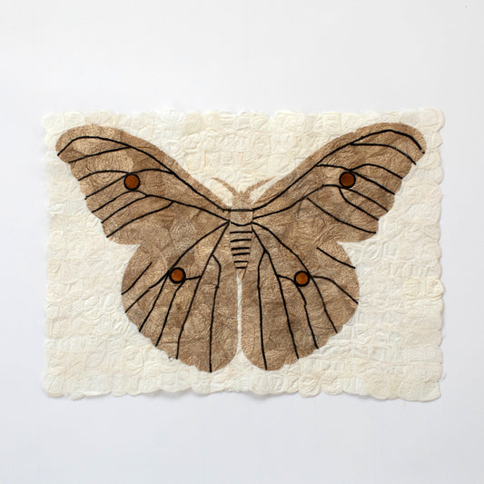 Wild Silk Moth Wall Art - Natural