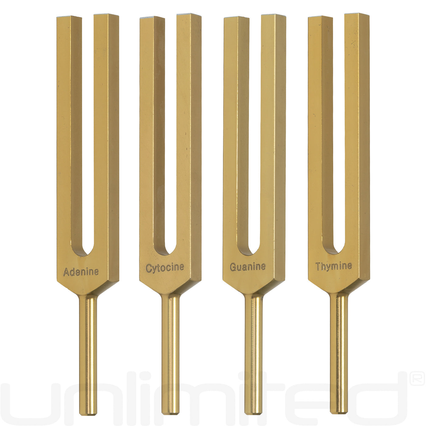Unlimited DNA Nucleotides Tuning Fork Set