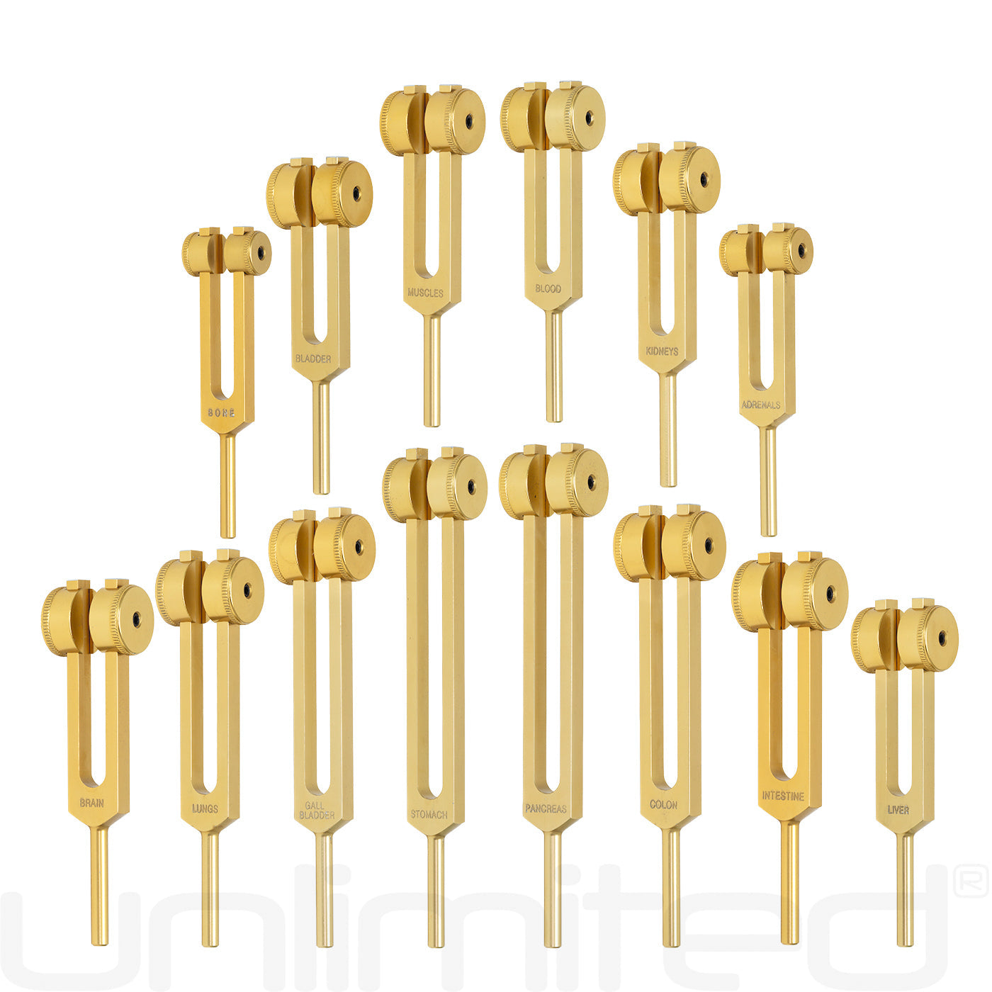 Unlimited Human Organ Tuning Fork Set | Weighted with Activator