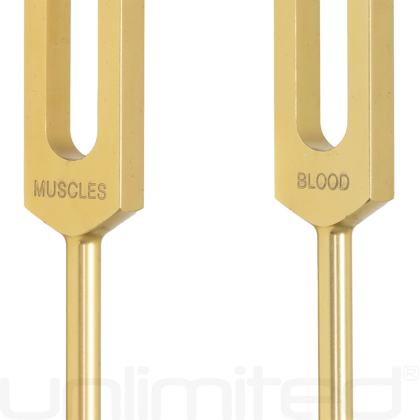 Unlimited Human Organ Tuning Fork Set | Weighted with Activator