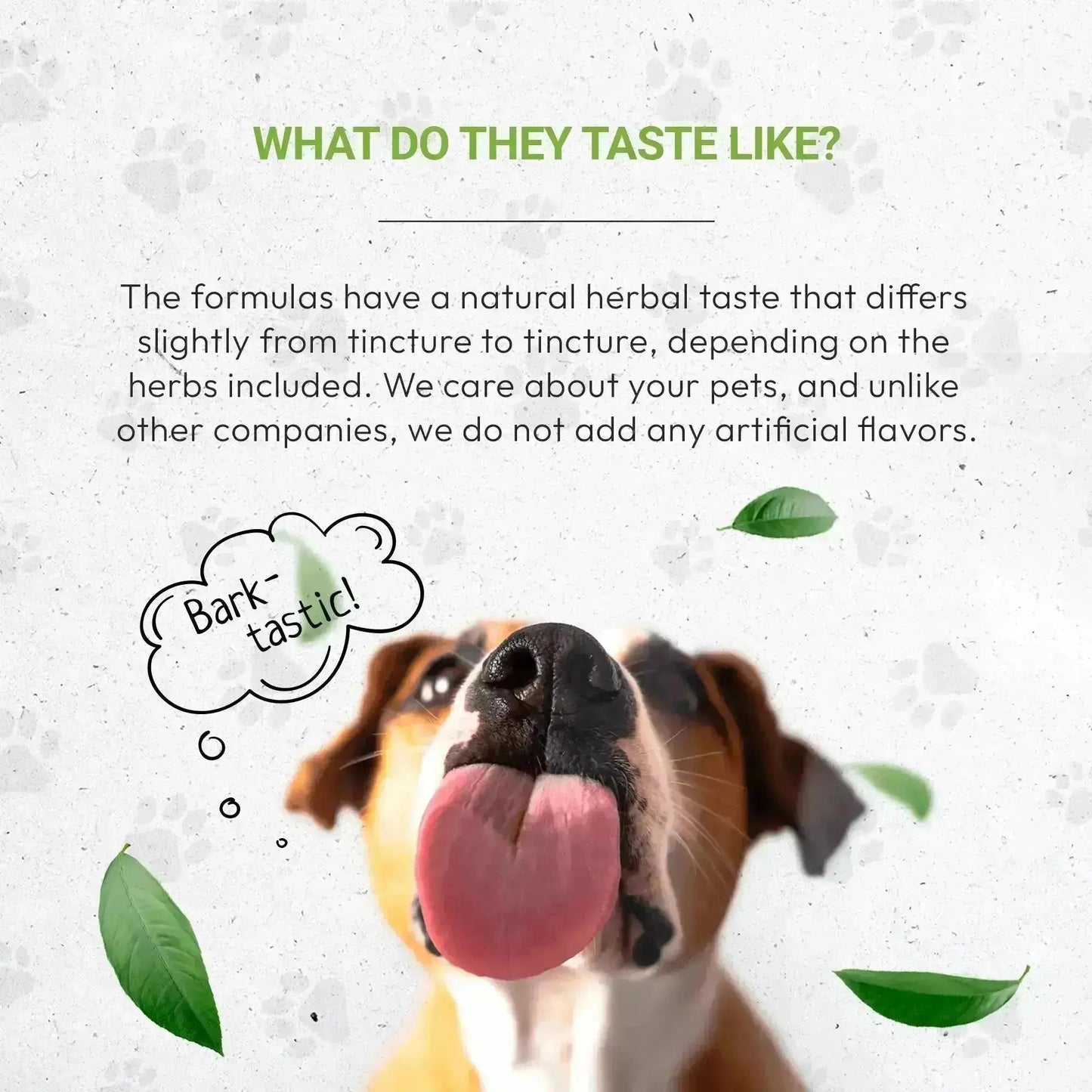 Wolf's Joints | Healthy Joint Support in Dogs