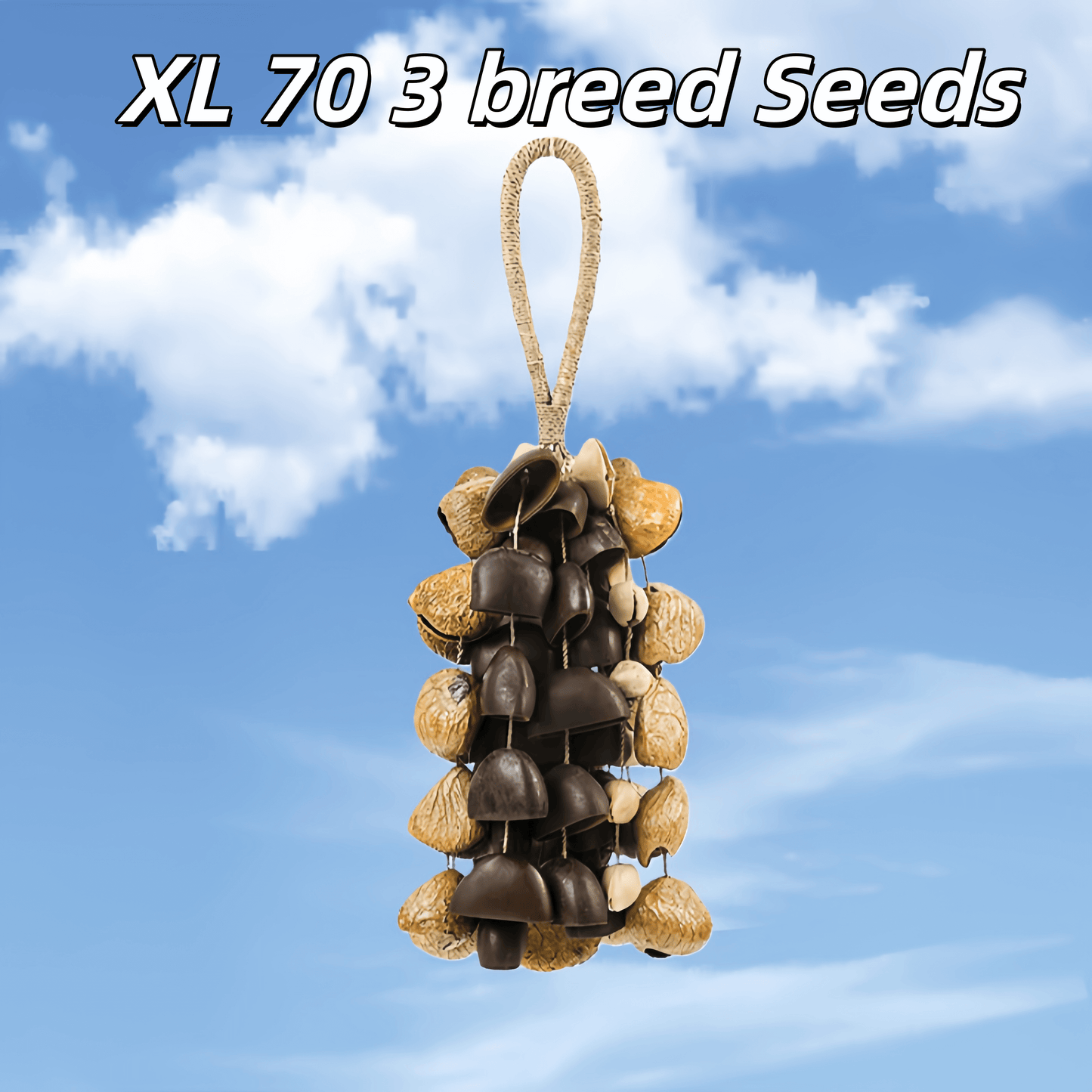 Handmade Entada, Pala Cardamom & Chacha Oleander Seed Shell Hand Bell