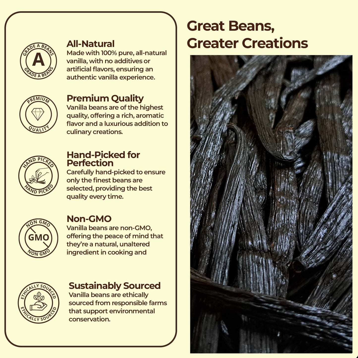 Gourmet Vanilla Bean Pods Grade A