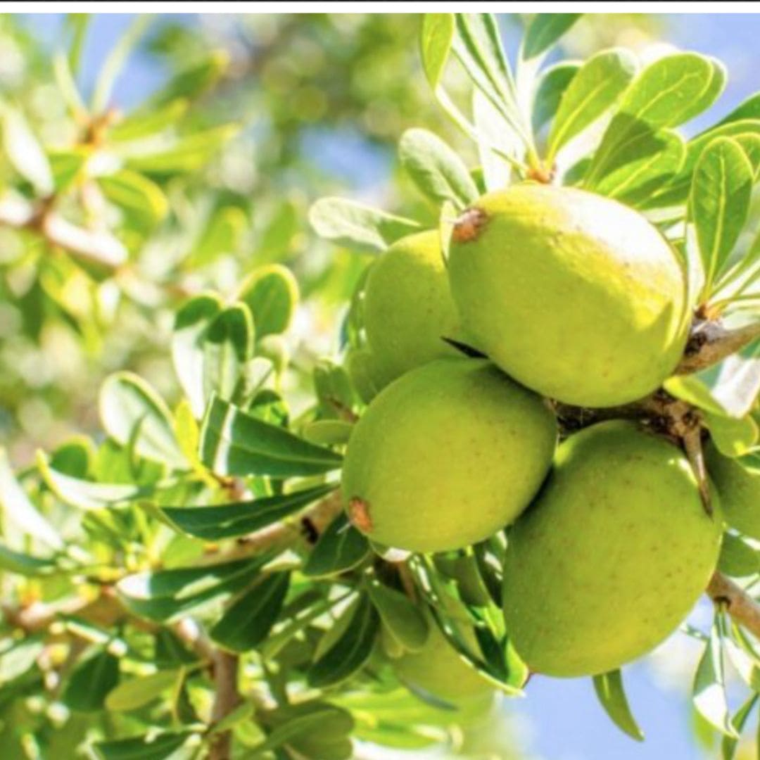 Argan Oil 100% Organic