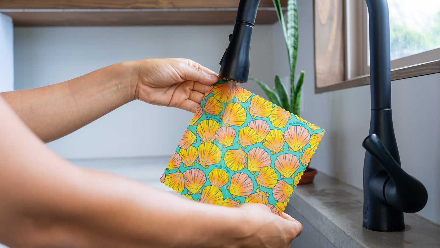 Beeswax Food Wrap | Sunrise Shell Print