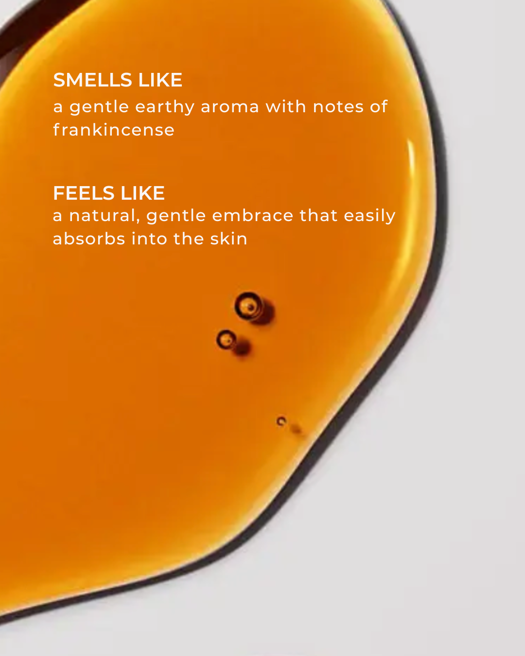 Barrier-Repair + Brightening Face Serum