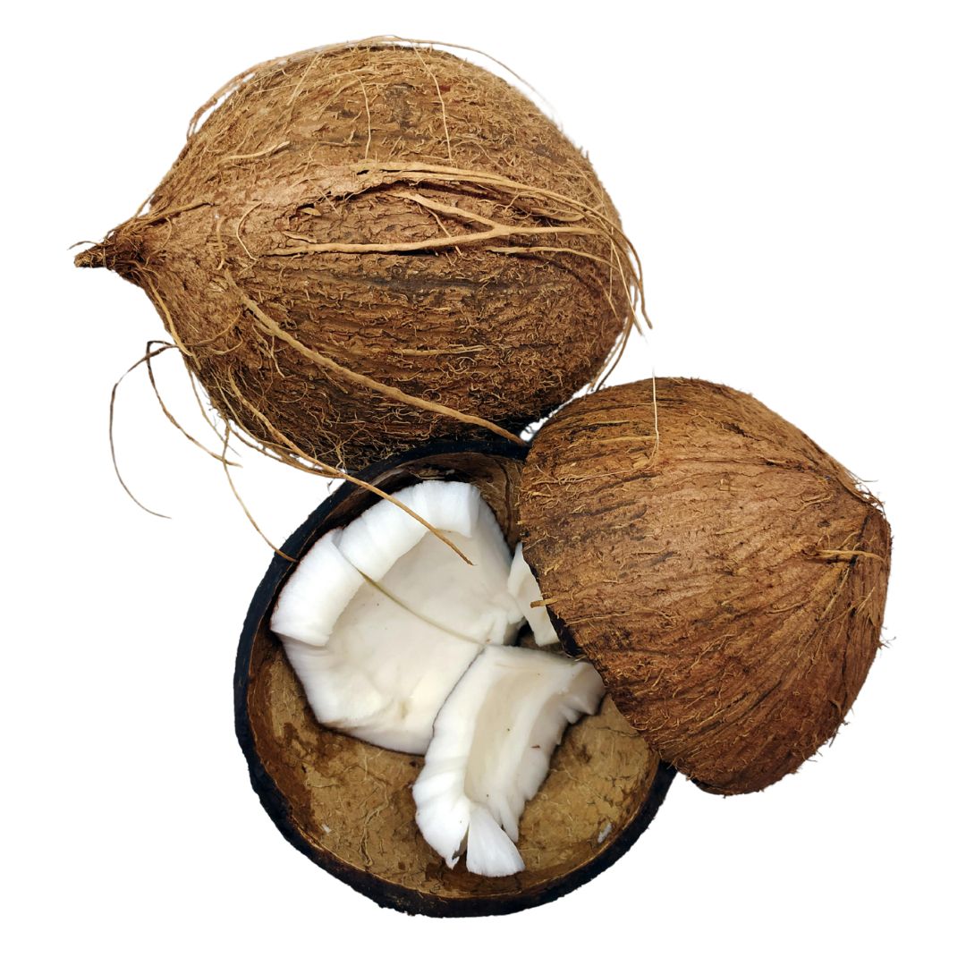 Coconut Oil 100% Organic